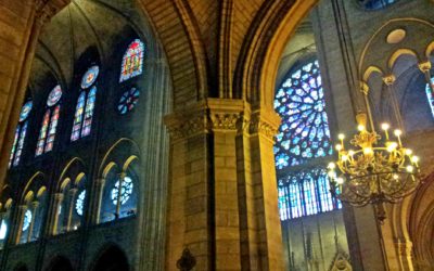 Notre-Dame de Paris: The Chimera, the Hive
